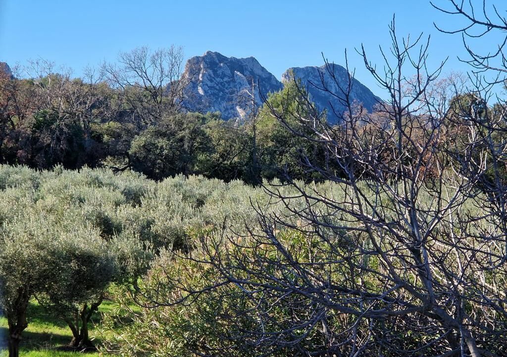 Photo of Outdoor in Eygalieres