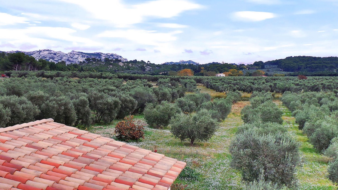 Photo of Others in Maussane-les-Alpilles