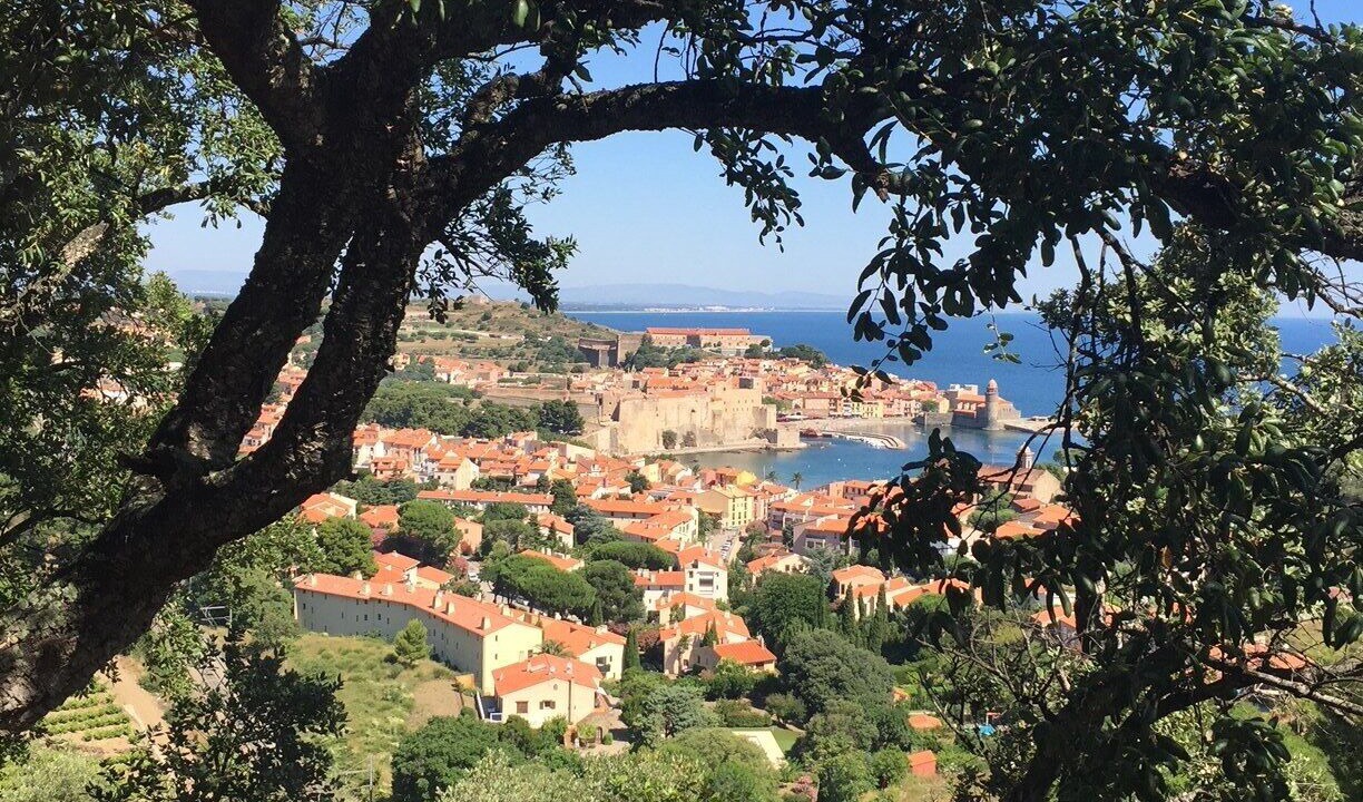 Photo of Others in Collioure