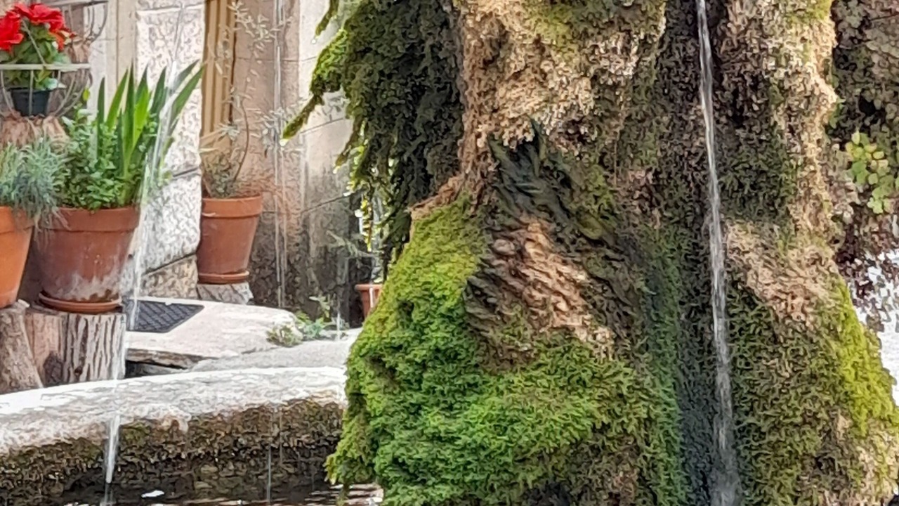Photo of Outdoor in Bargemon