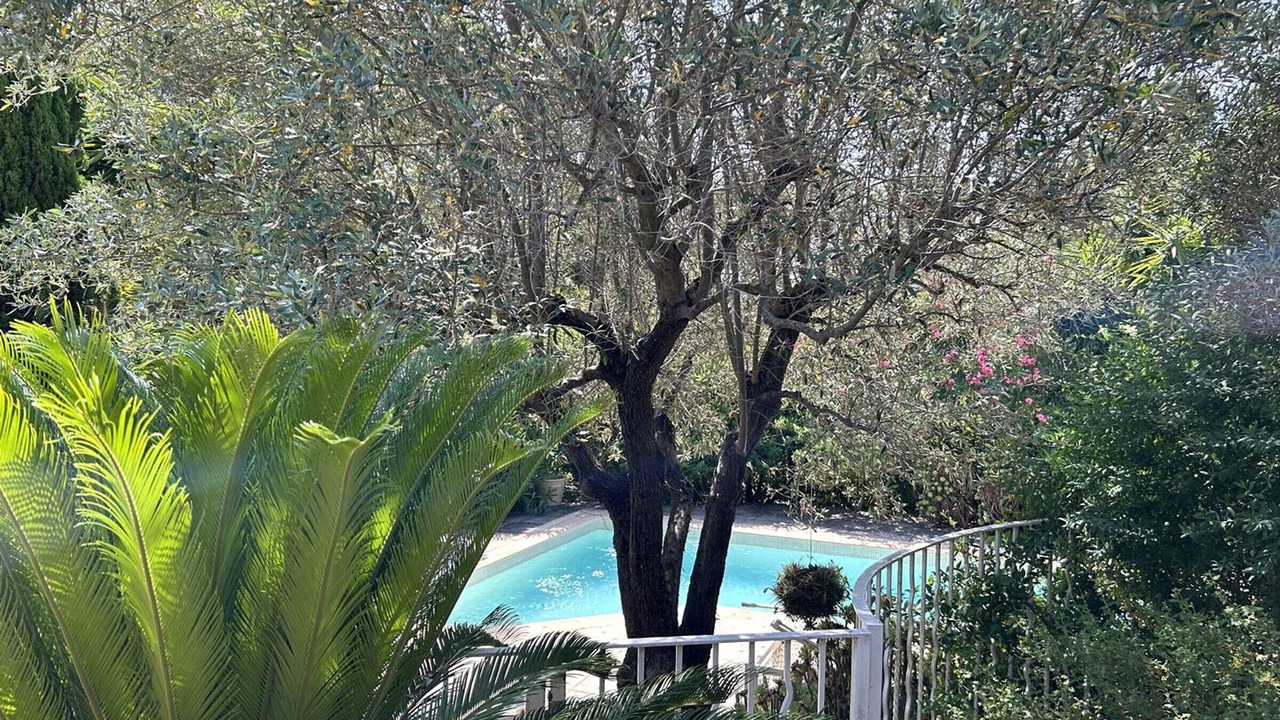 Photo of Outdoor in Bormes-Les-Mimosas