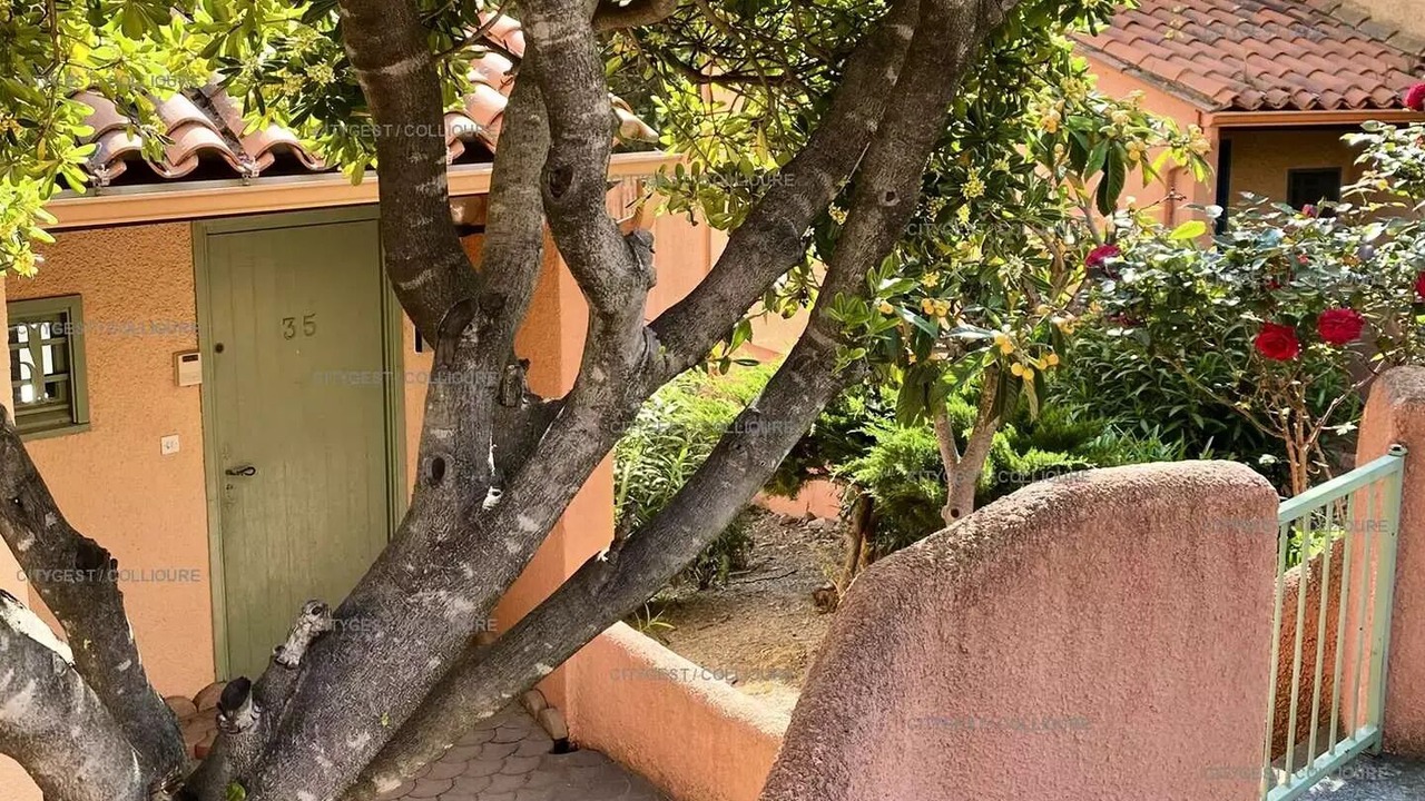 Photo of Outdoor in Collioure