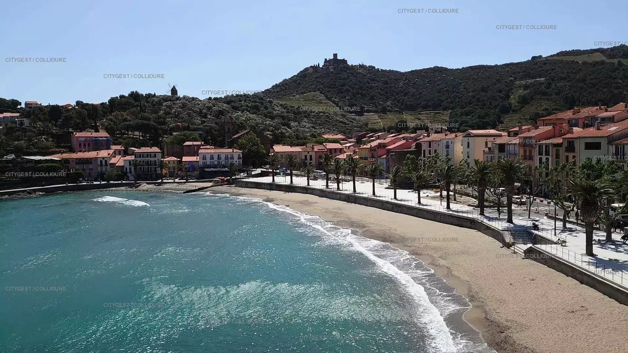 Photo of Others in Collioure