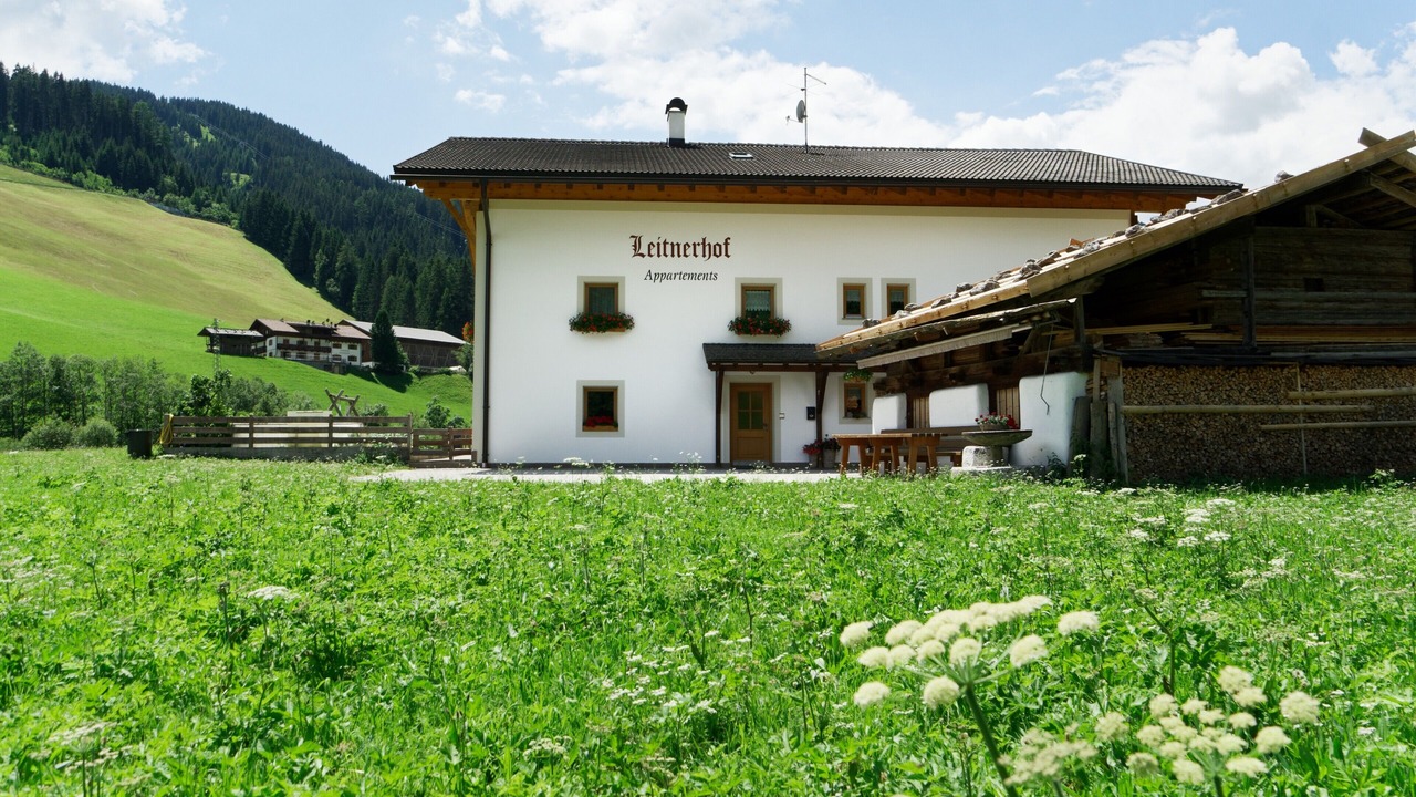 Photo of Outdoor in Racines