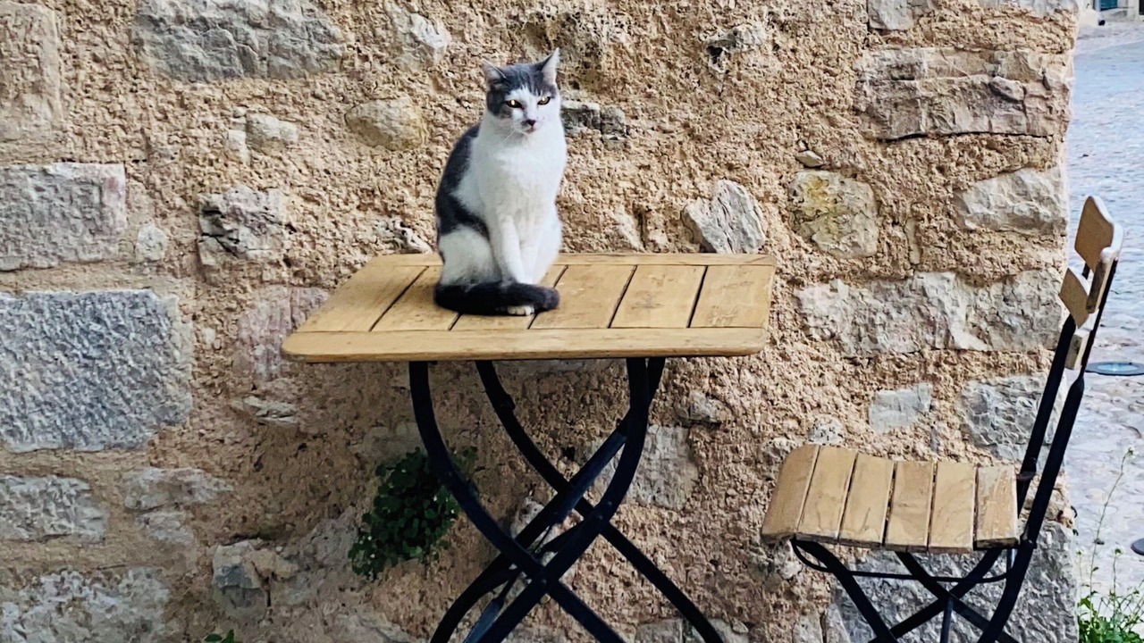 Photo of Outdoor in Montauroux