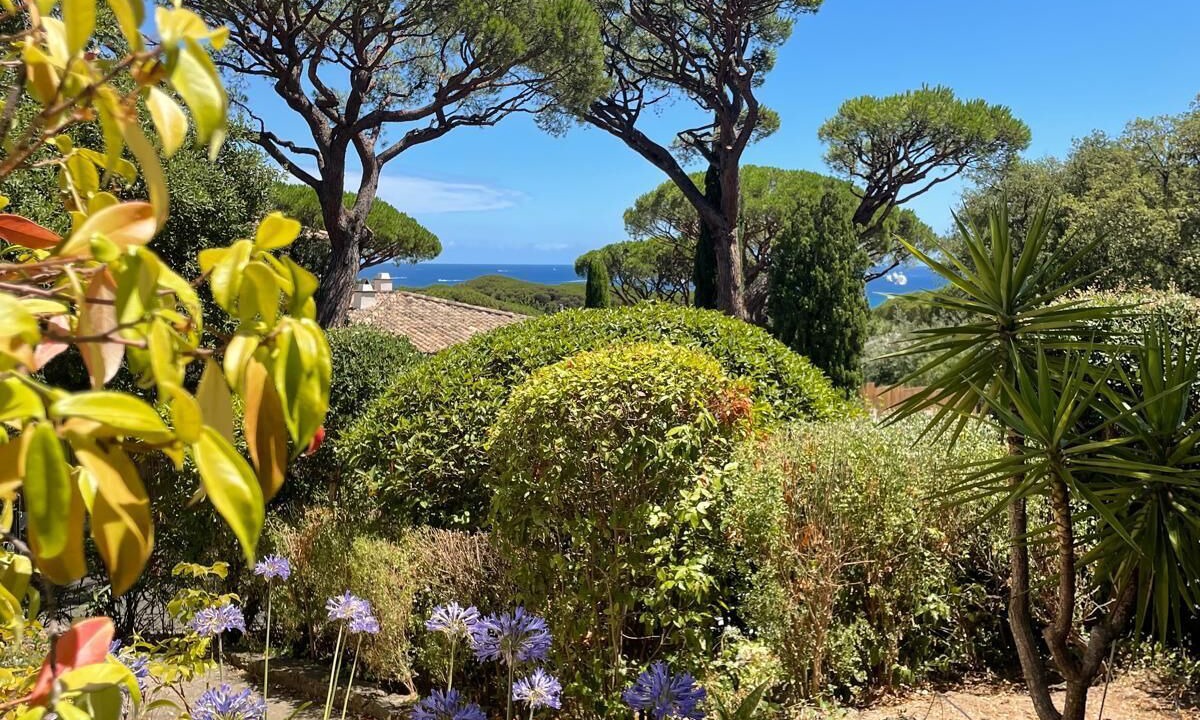 Photo of Outdoor in Guerrevieille