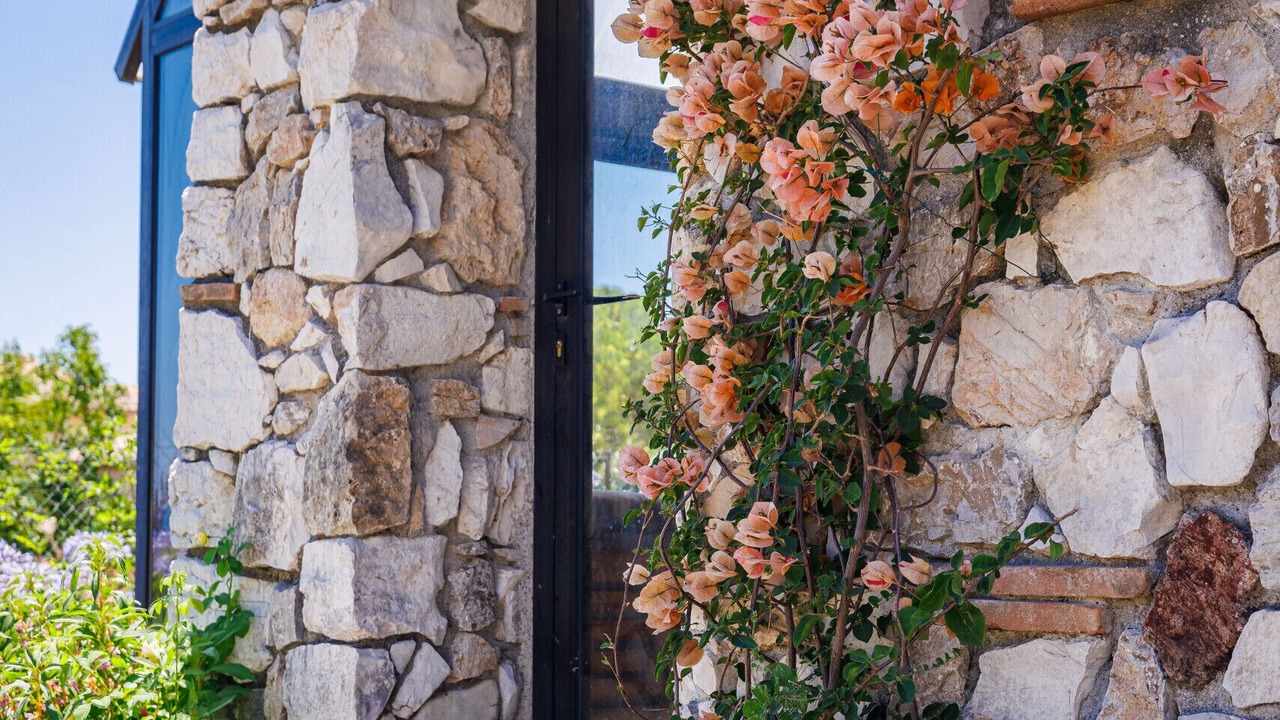 Photo of Outdoor in Tourrettes-sur-Loup