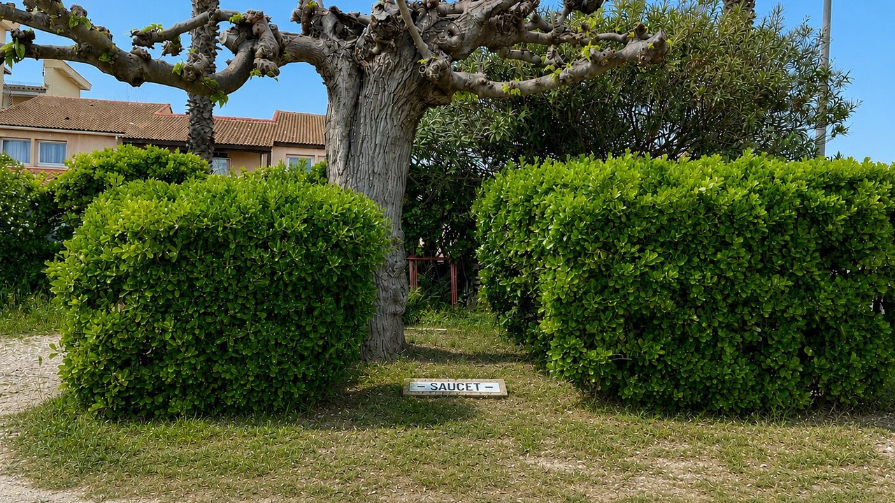 Photo of Outdoor in Palavas-les-Flots