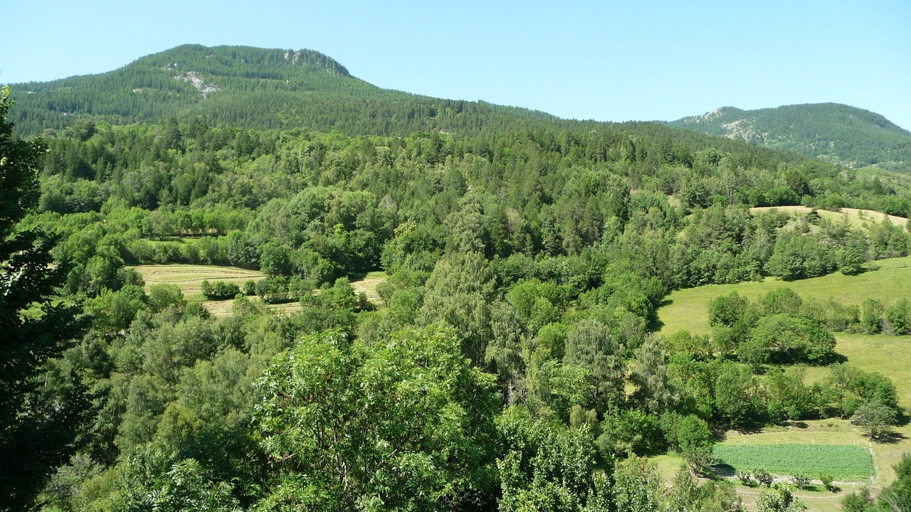 Photo of Others in Risoul