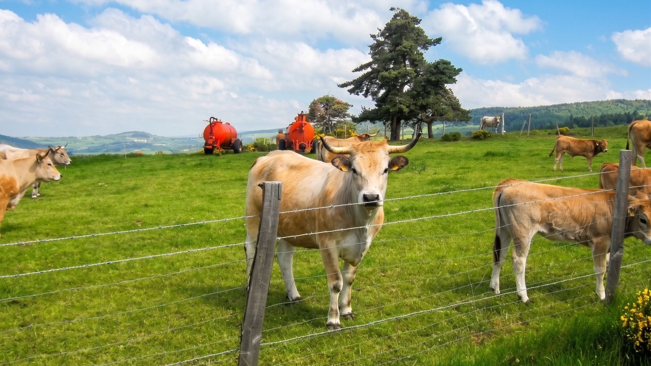 Photo of Others in Saint-Leger-les-Melezes