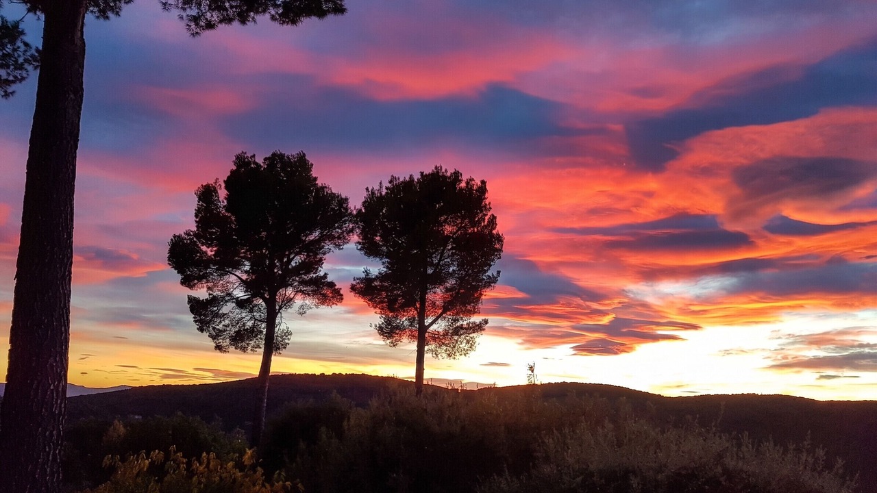 Photo of Others in Draguignan