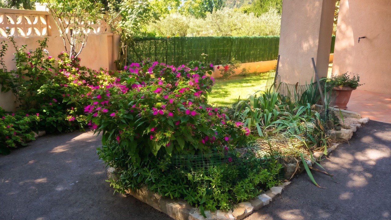 Photo of Outdoor in Vidauban