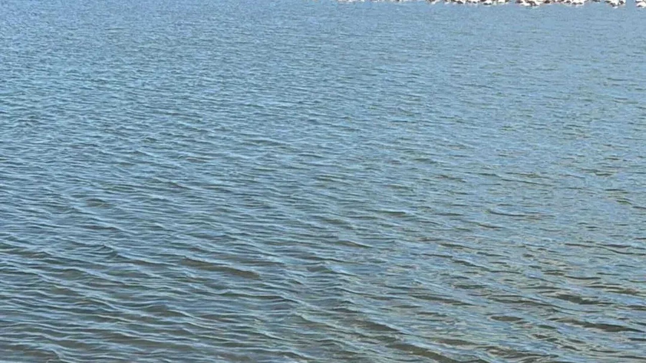 Photo of Others in Marseillan