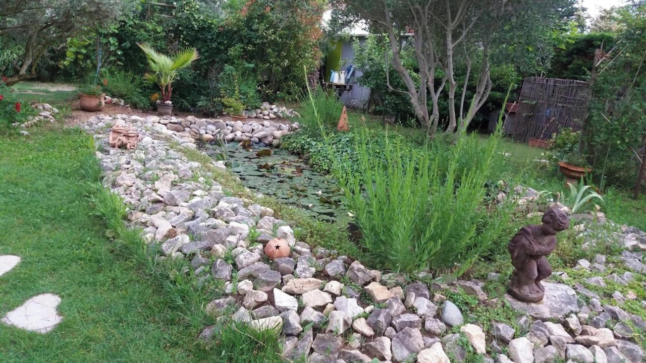 Photo of Outdoor in Cheval-Blanc