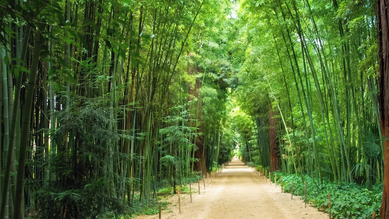 Photo of Outdoor in Martignargues