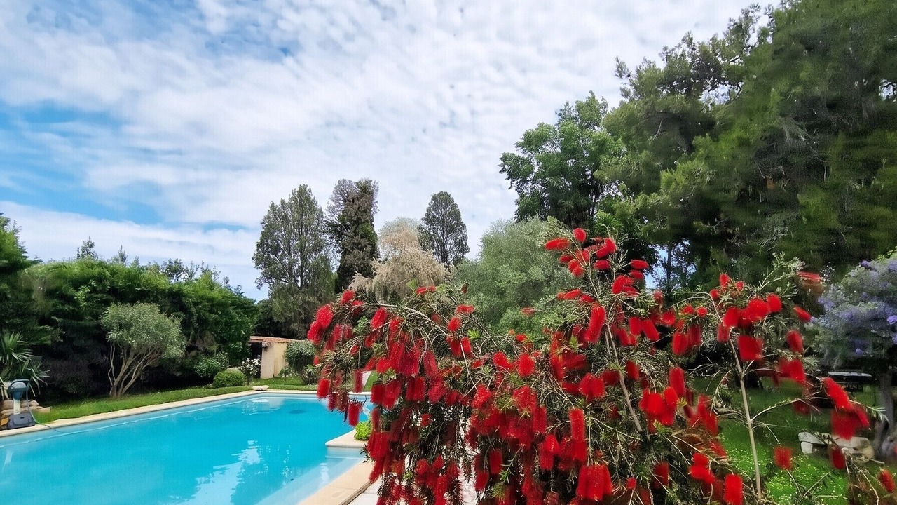 Photo of Outdoor in Albaron
