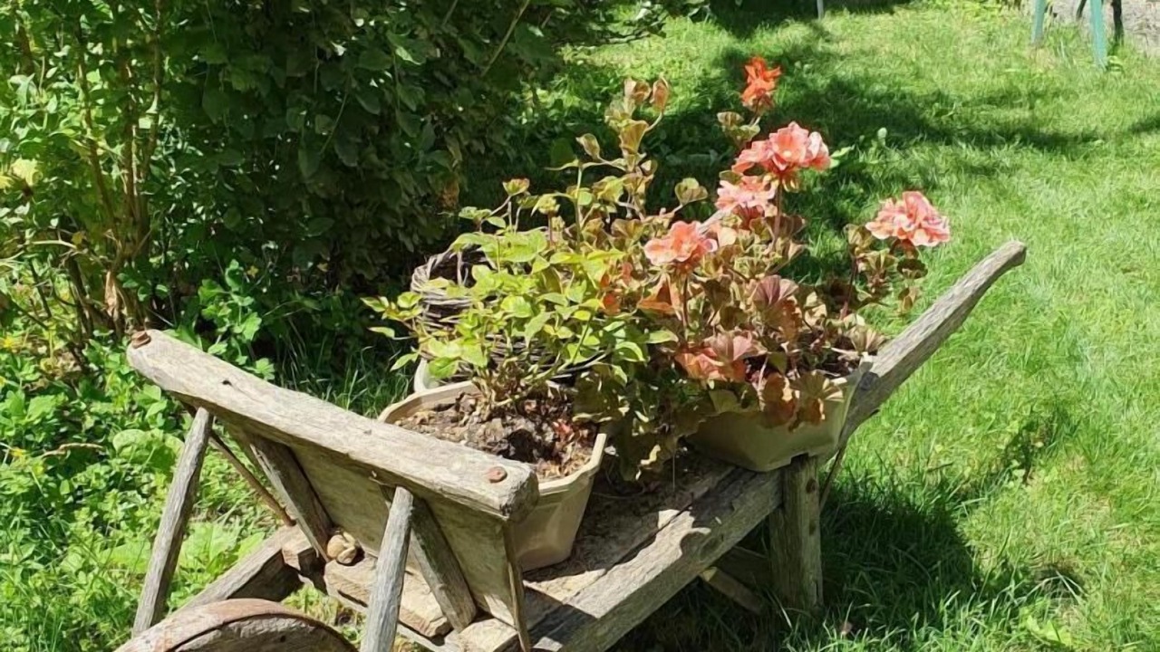 Photo of Outdoor in Saint-Etienne-de-Tinee
