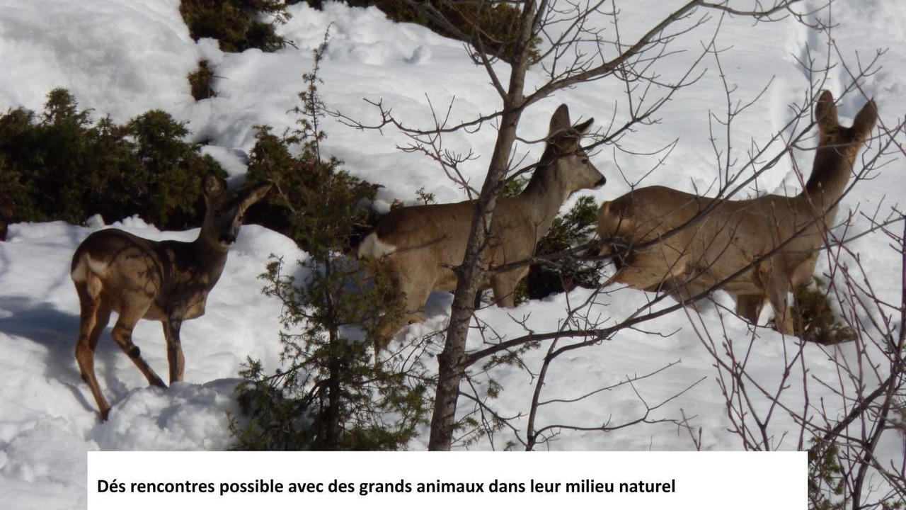 Photo of Others in Saint-Etienne-de-Tinee