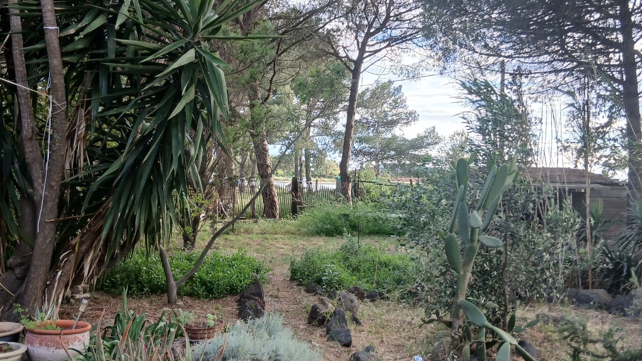 Photo of Outdoor in Marseillan