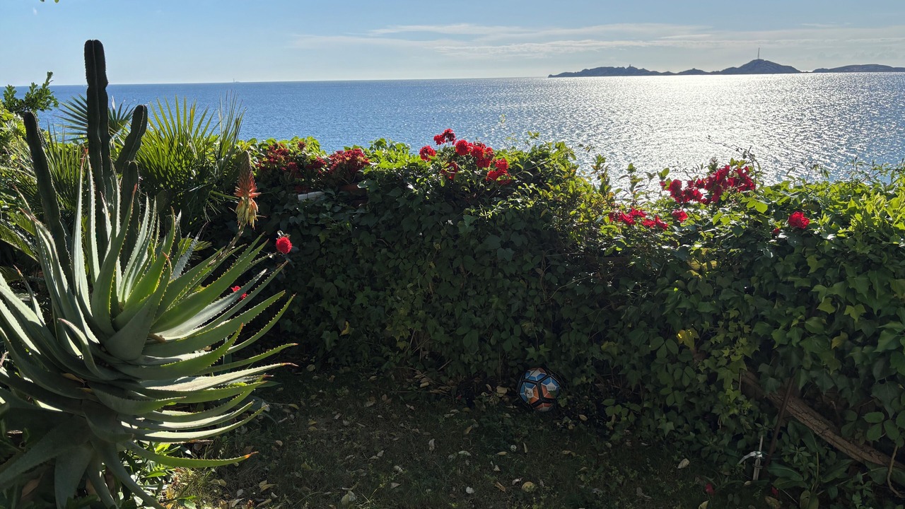 Photo of Outdoor in Roucas-Blanc