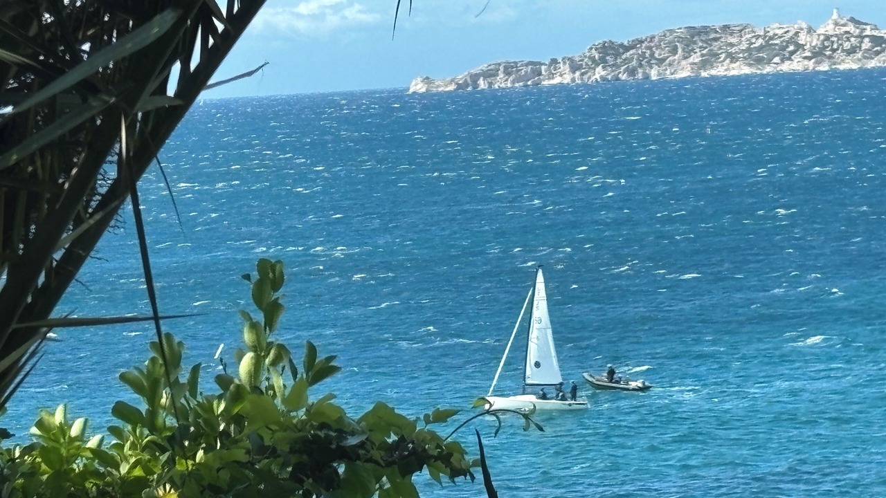 Photo of Others in Roucas-Blanc