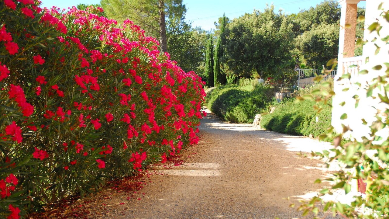Photo of Outdoor in Lorgues