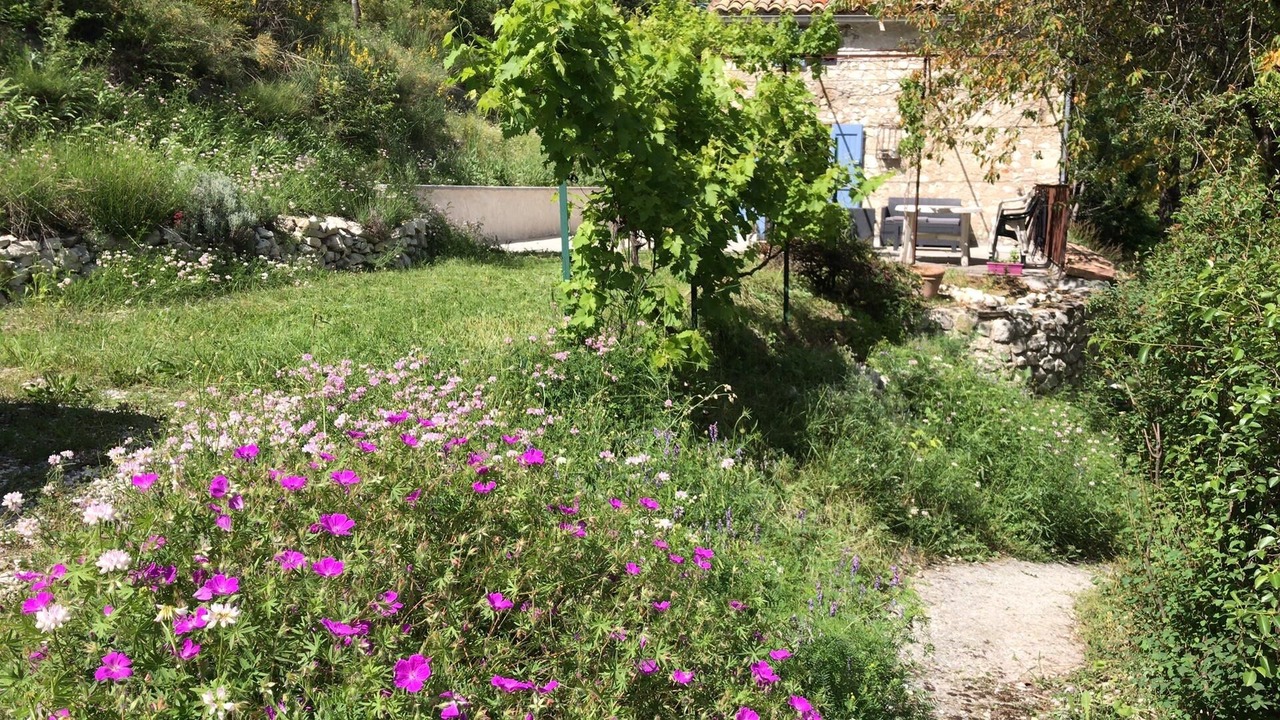 Photo of Outdoor in Saint-Andre-les-Alpes