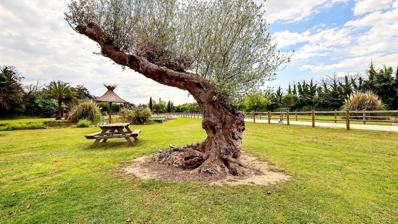 Photo of Outdoor in Saint-Gilles