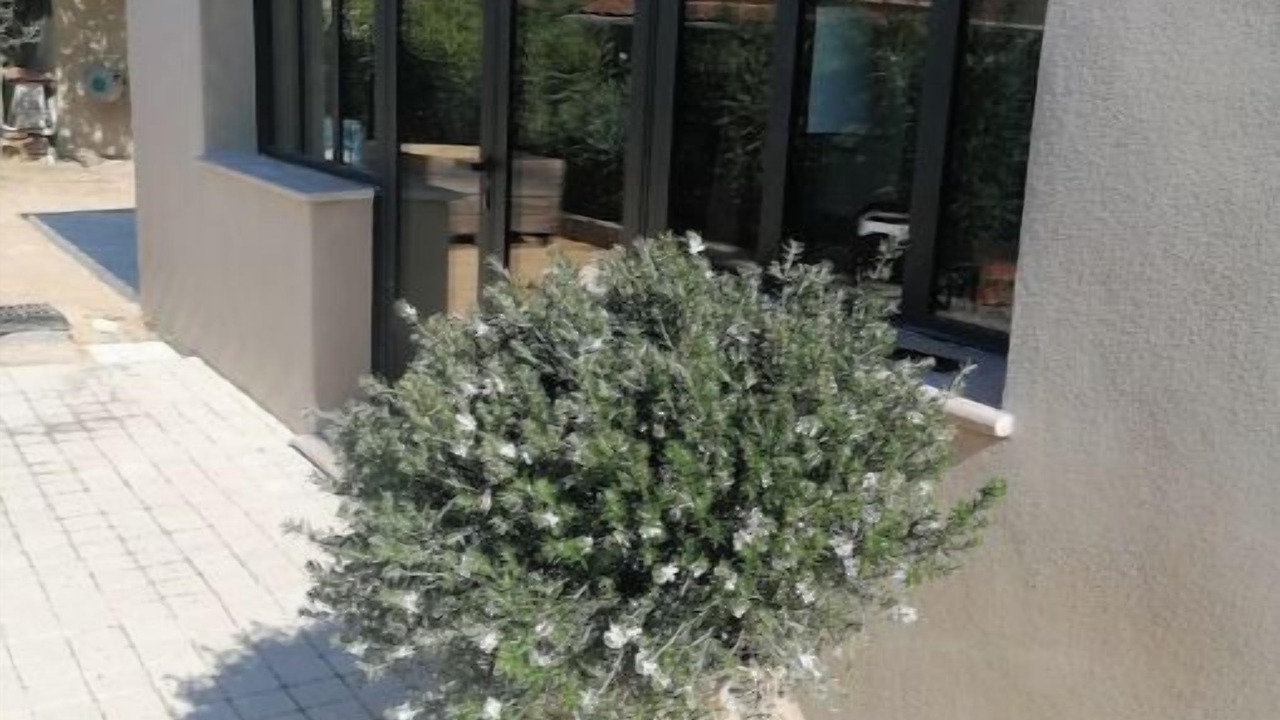 Photo of Outdoor in Saint-Andiol