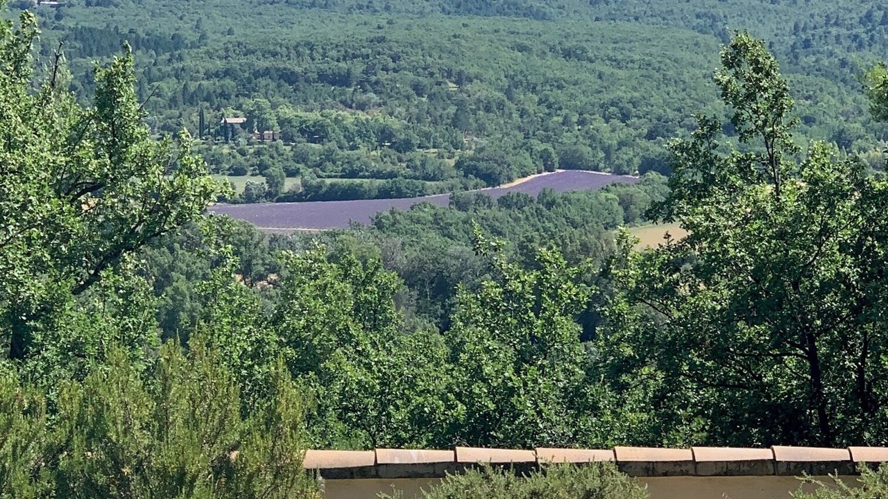 Photo of Outdoor in Saint-Martin-de-Castillon