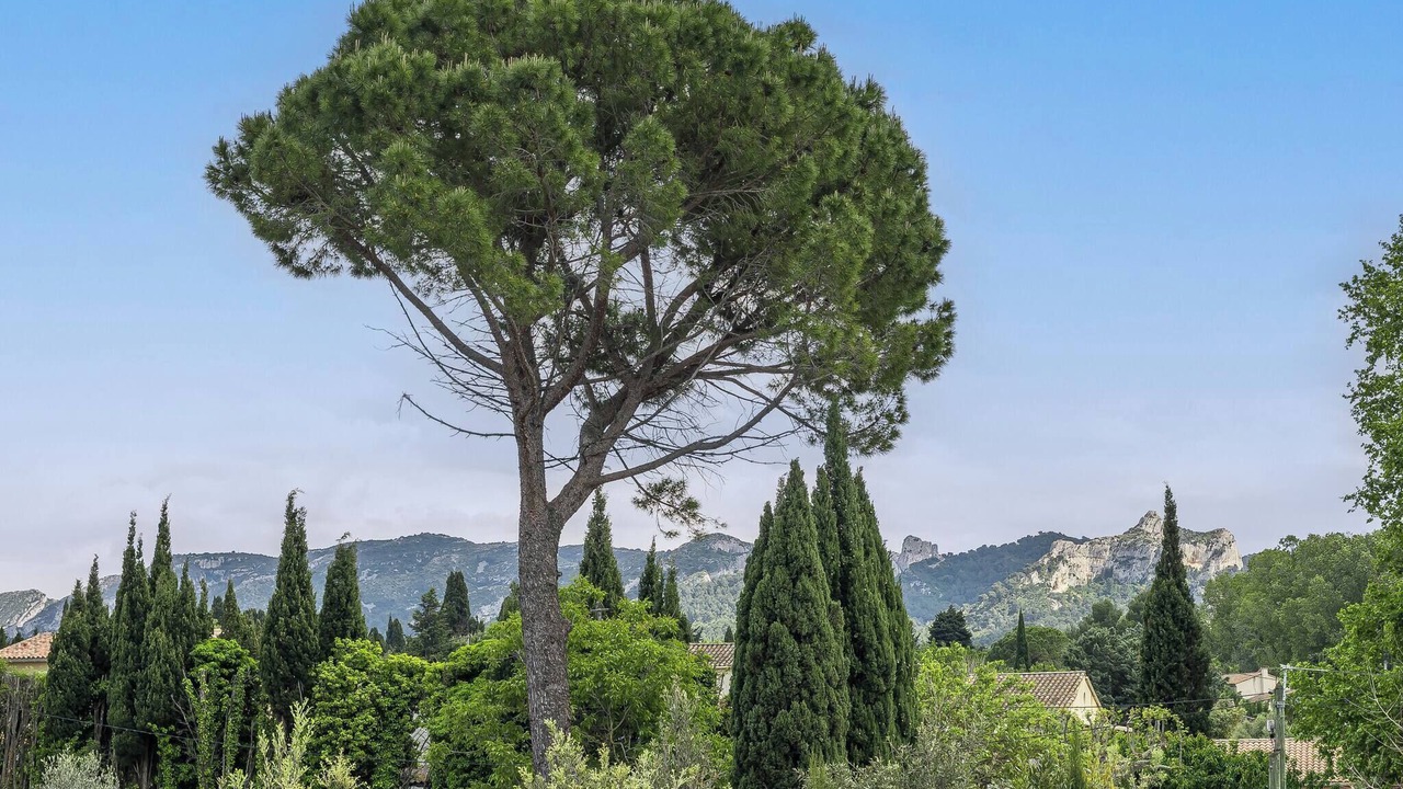 Photo of Others in St.-Remy-de-Provence