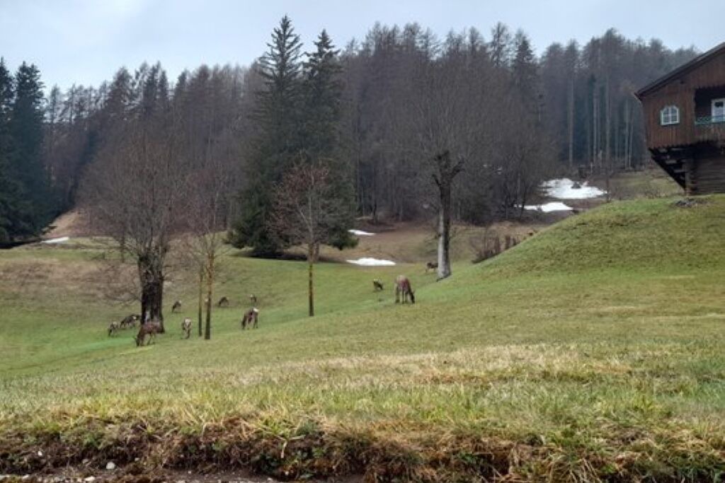 Photo of Others in Cortina d'Ampezzo
