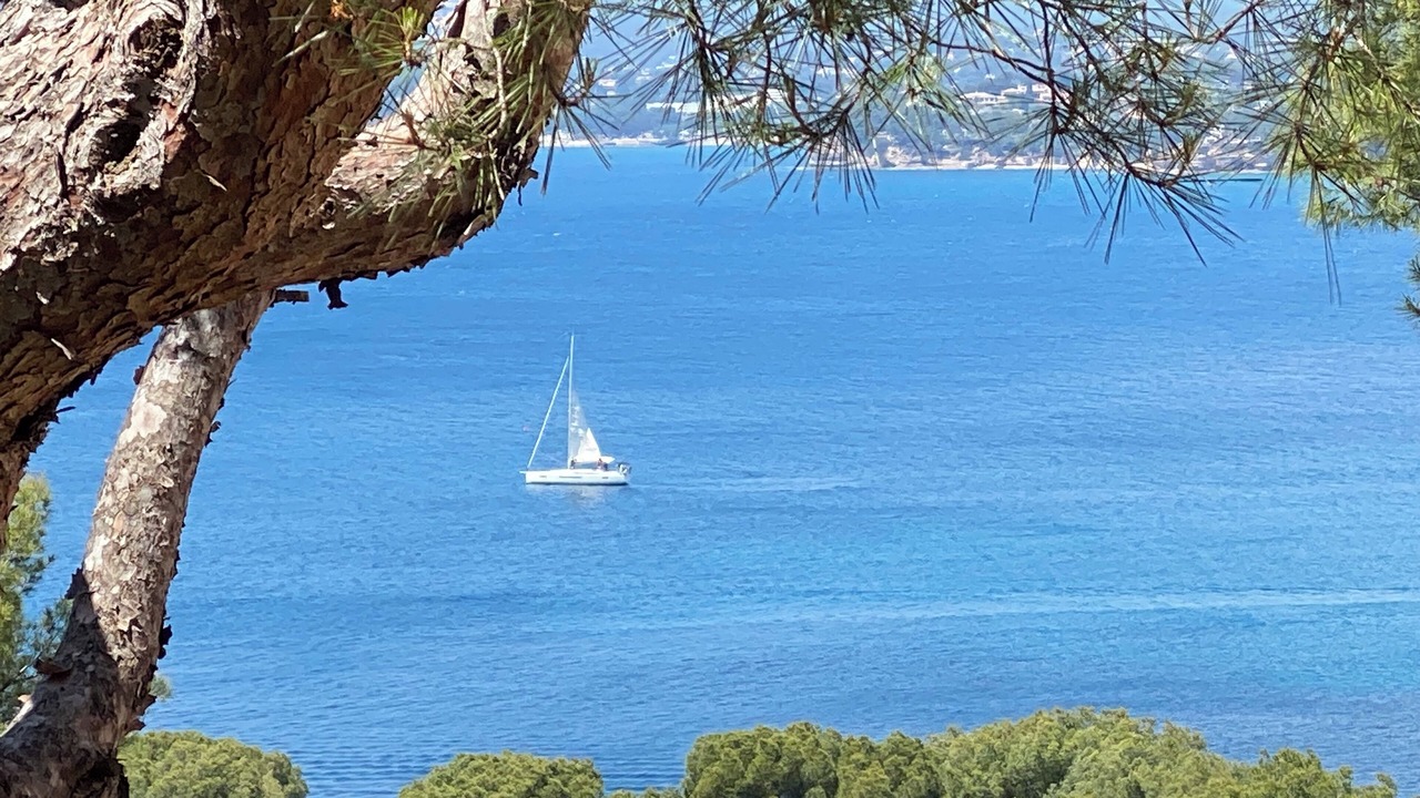 Photo of Others in La Madrague