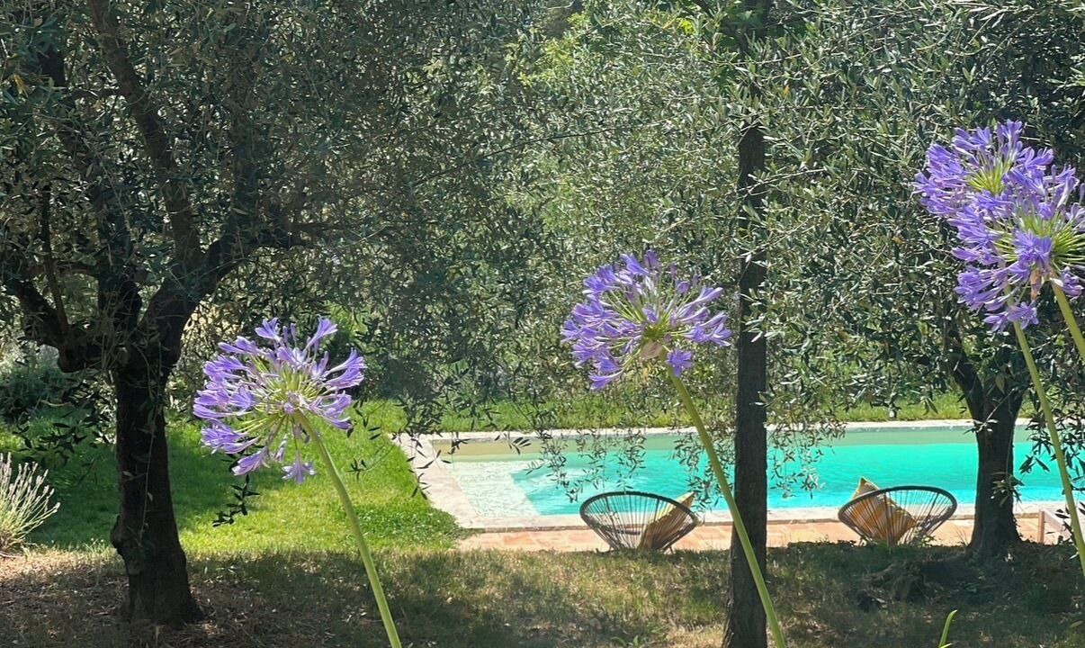 Photo of Outdoor in Saint-Cezaire-sur-Siagne