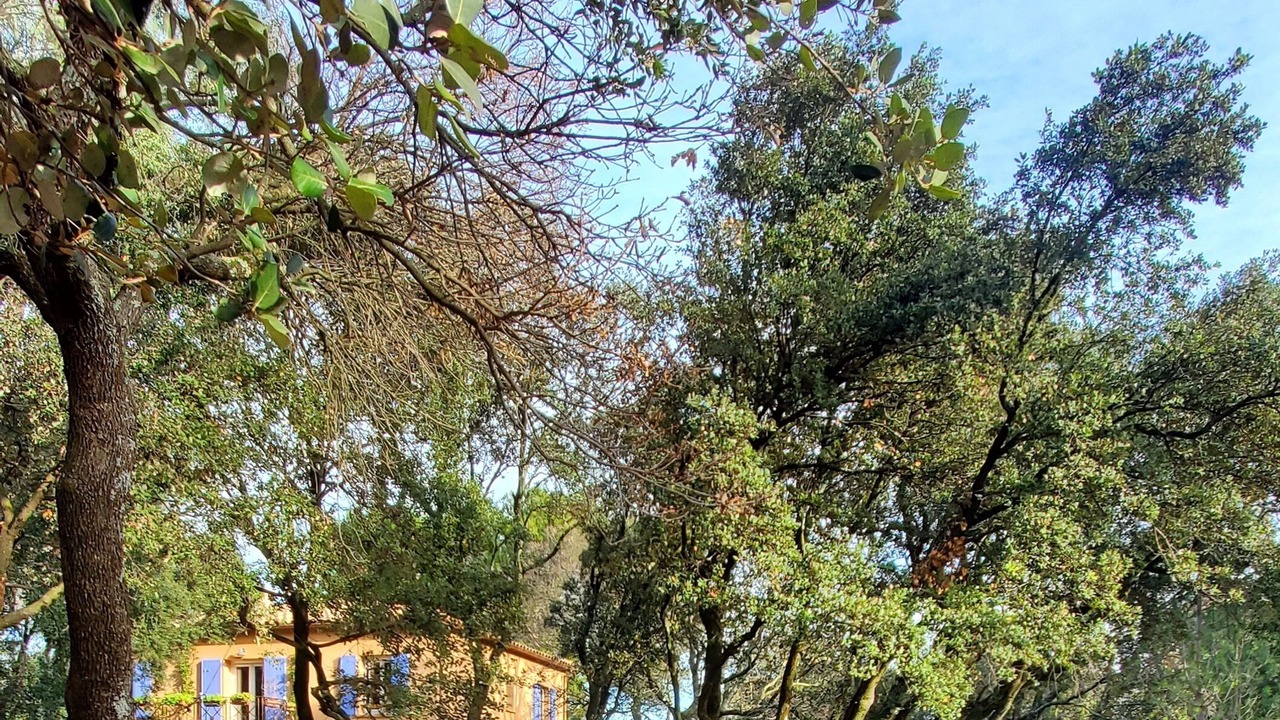 Photo of Outdoor in Caremeau