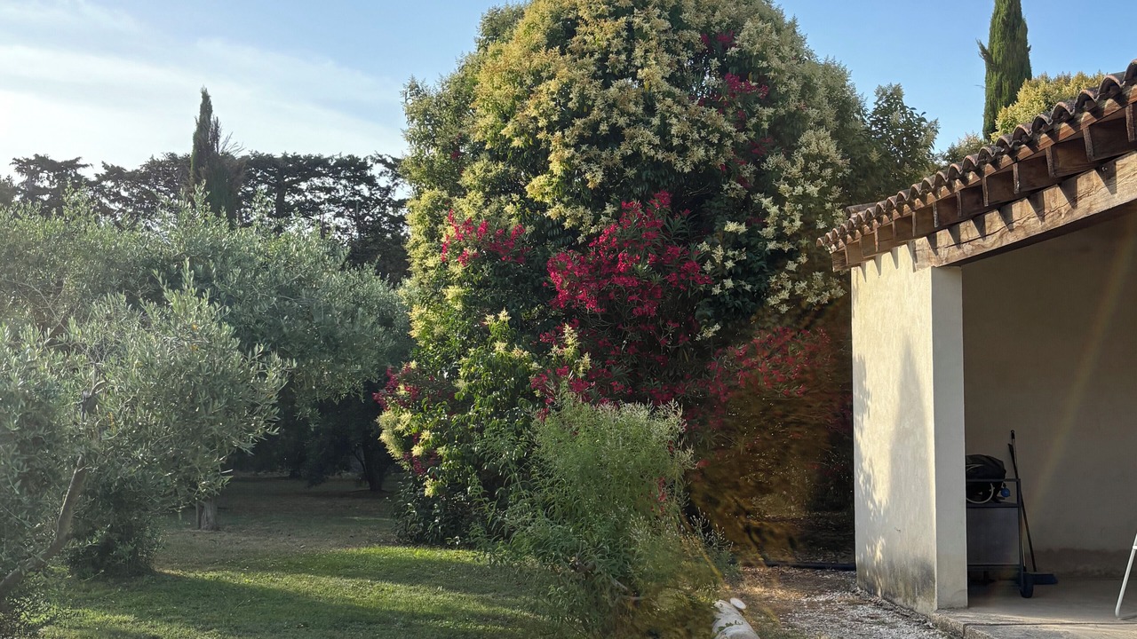 Photo of Outdoor in Chateaurenard