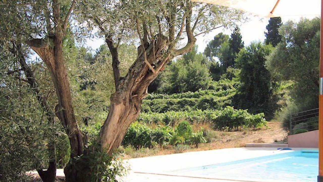 Photo of Outdoor in La Cadiere-d'Azur
