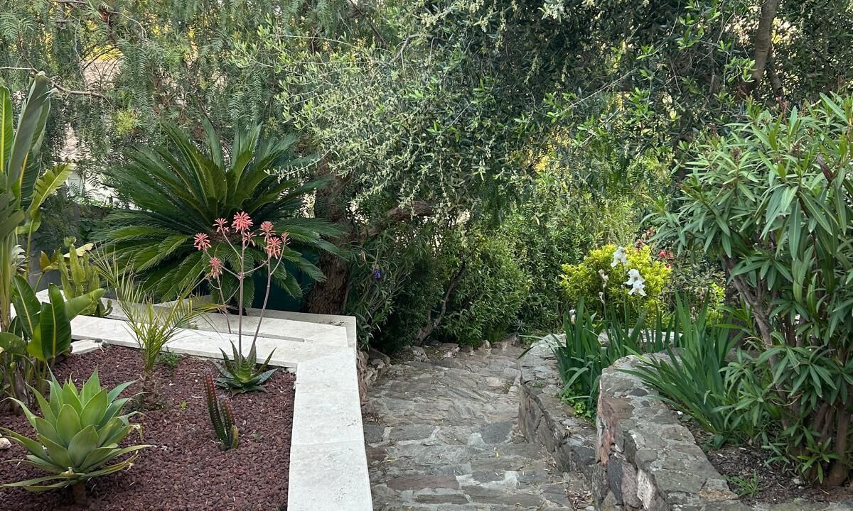 Photo of Outdoor in St. Jean de l’Esterel