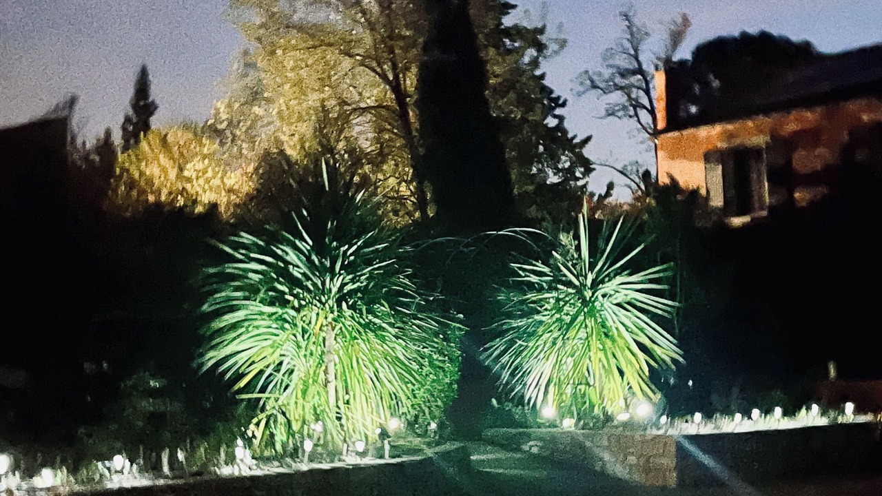 Photo of Outdoor in Avignon