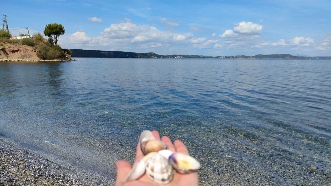 Photo of Others in Saint-Mitre-les-Remparts
