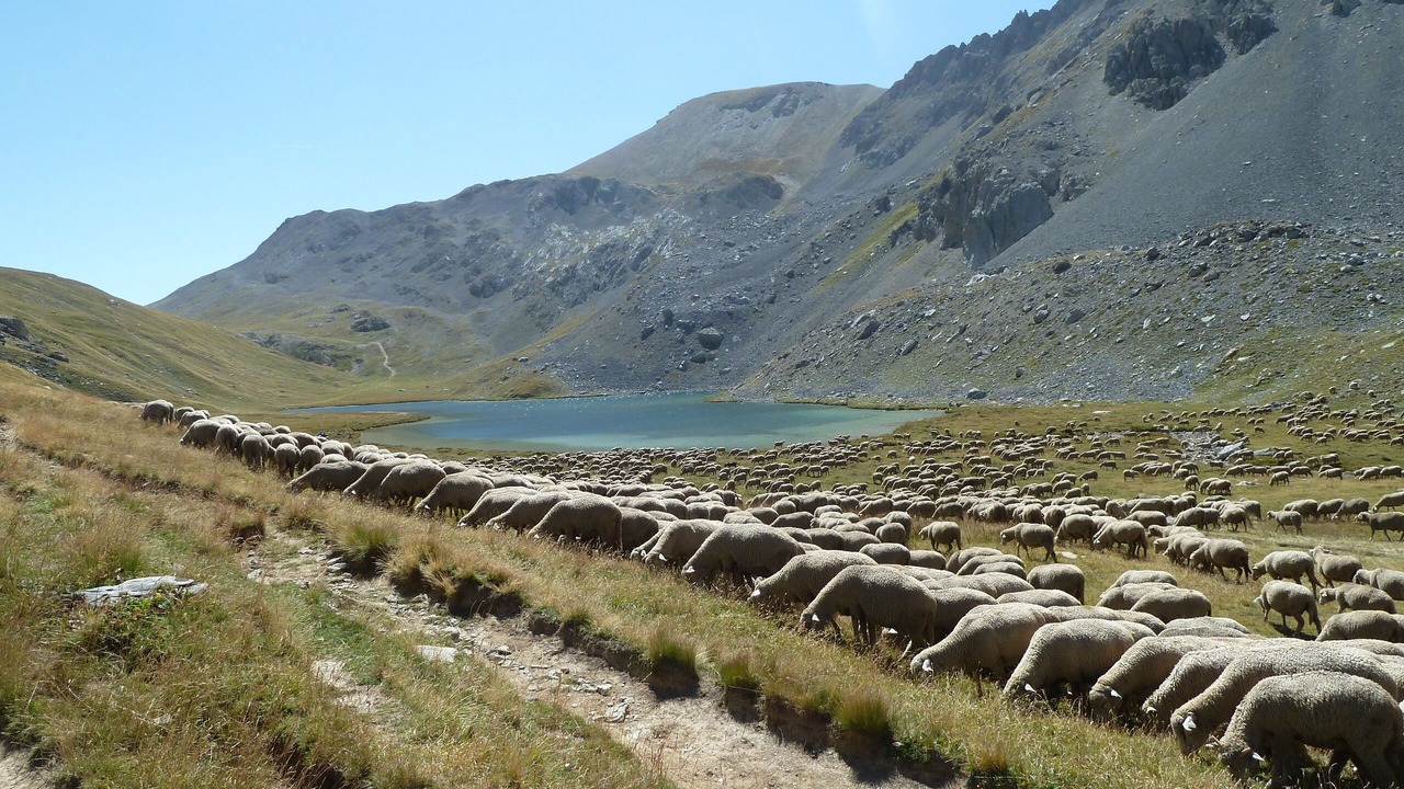 Photo of Others in Chorges