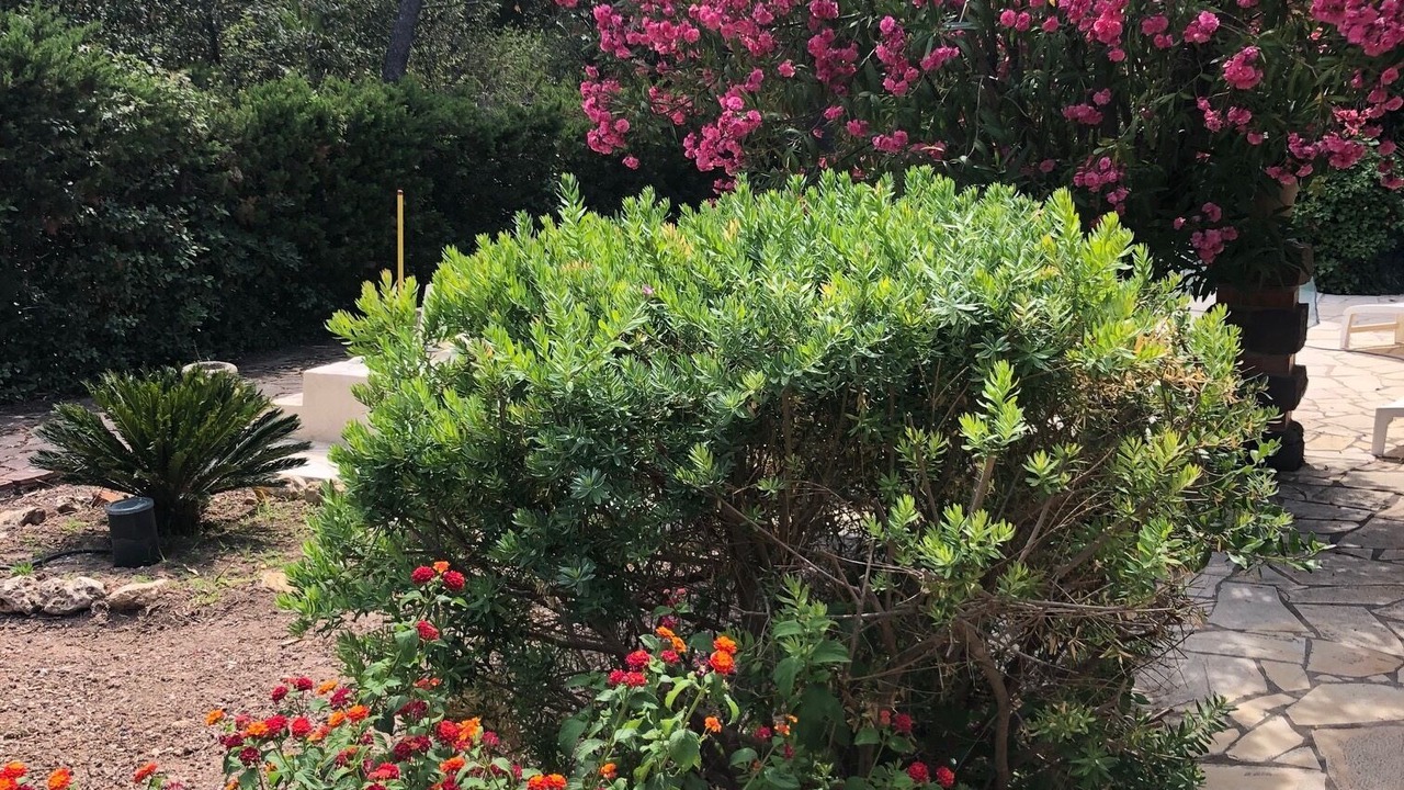 Photo of Outdoor in Boulouris-sur-Mer