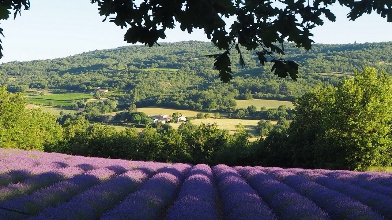 Photo of Others in Saint-Martin-de-Castillon