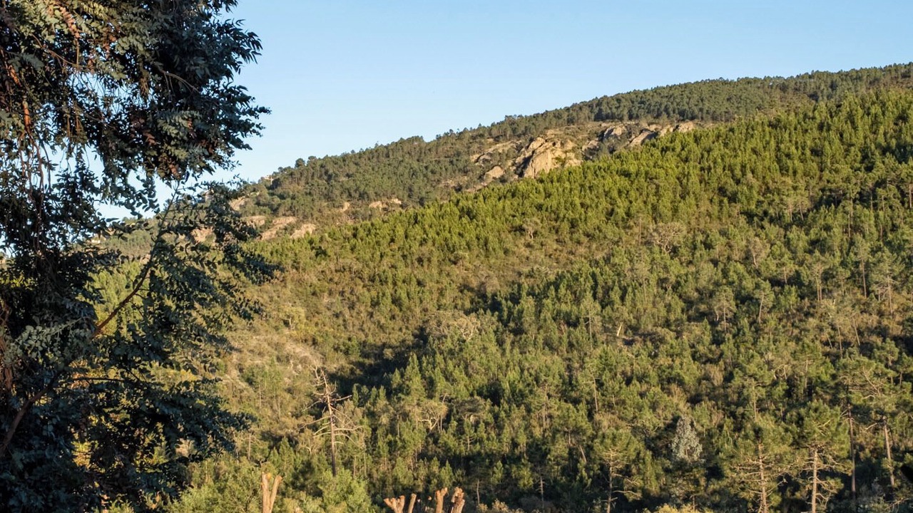 Photo of Outdoor in Mandelieu-La-Napoule