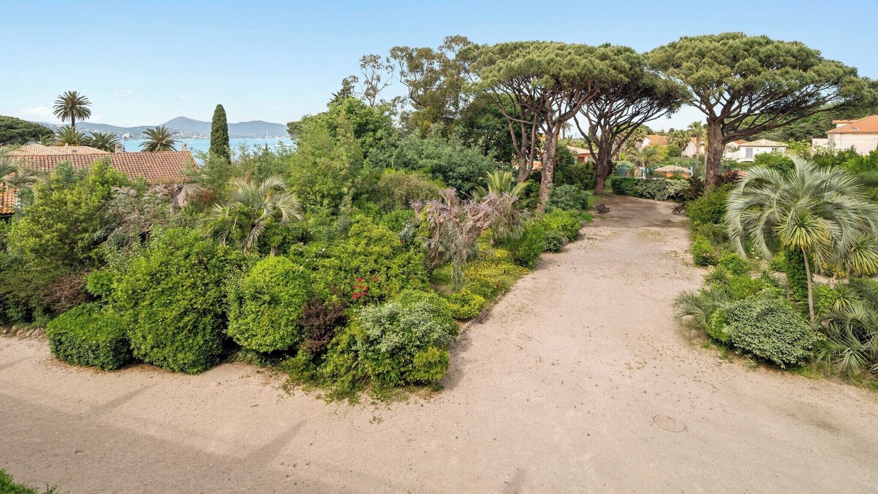 Photo of Others in Saint-Tropez