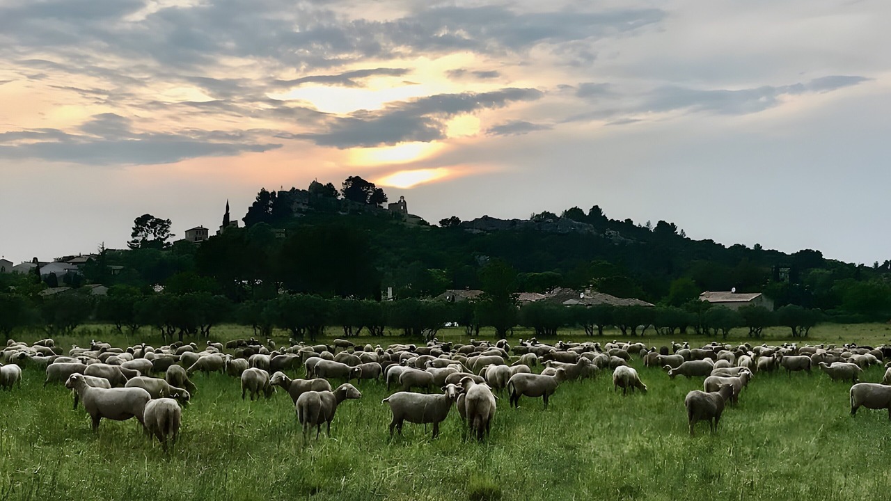 Photo of Others in Eygalieres