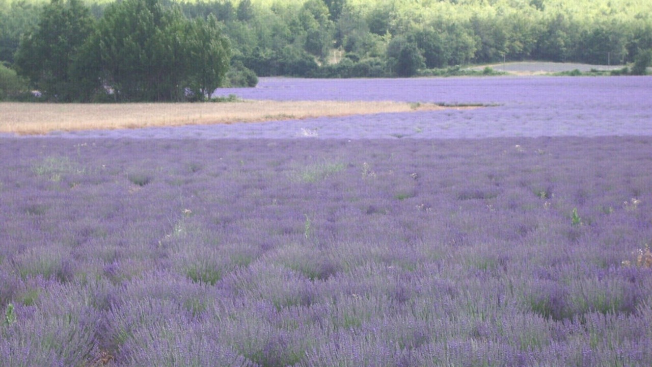 Photo of Others in Mouries