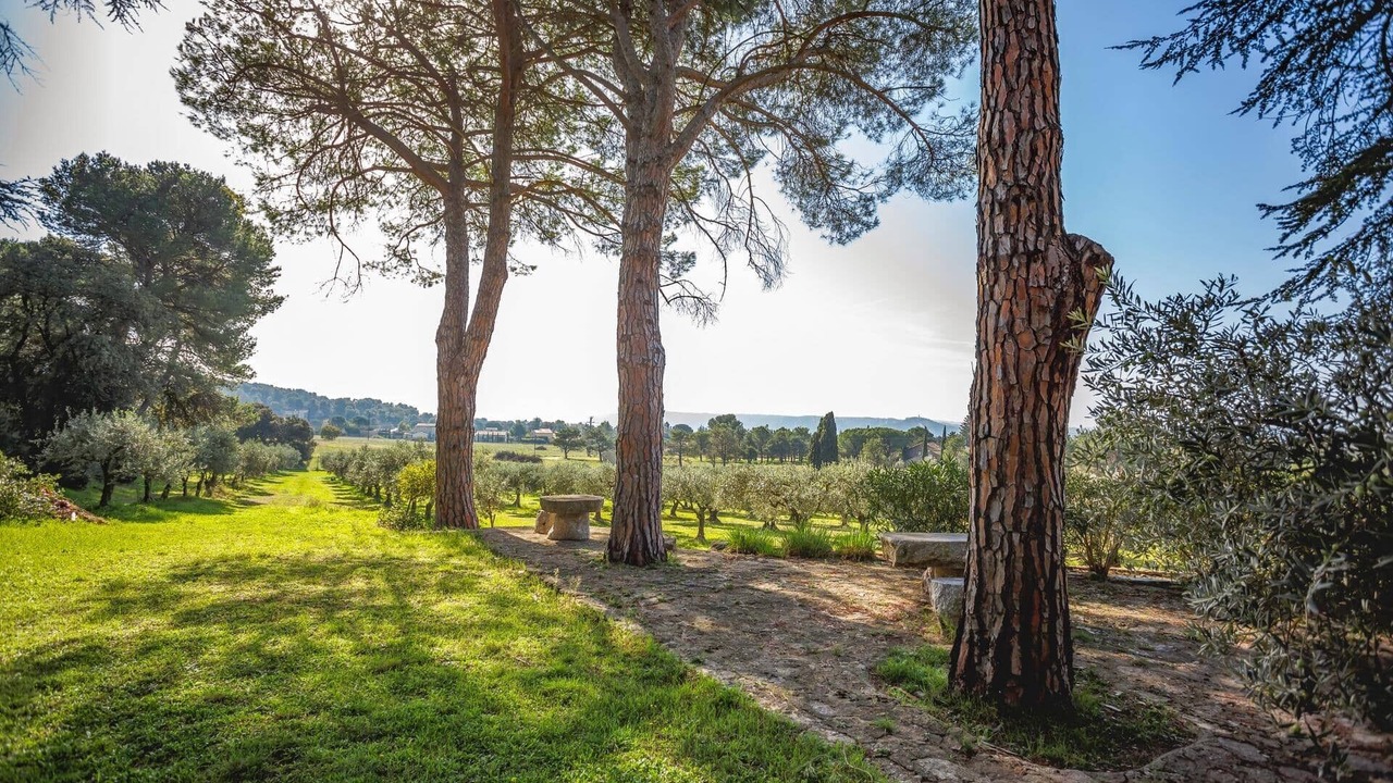 Photo of Others in Cheval-Blanc