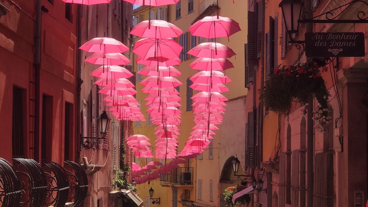 Photo of Others in Grasse