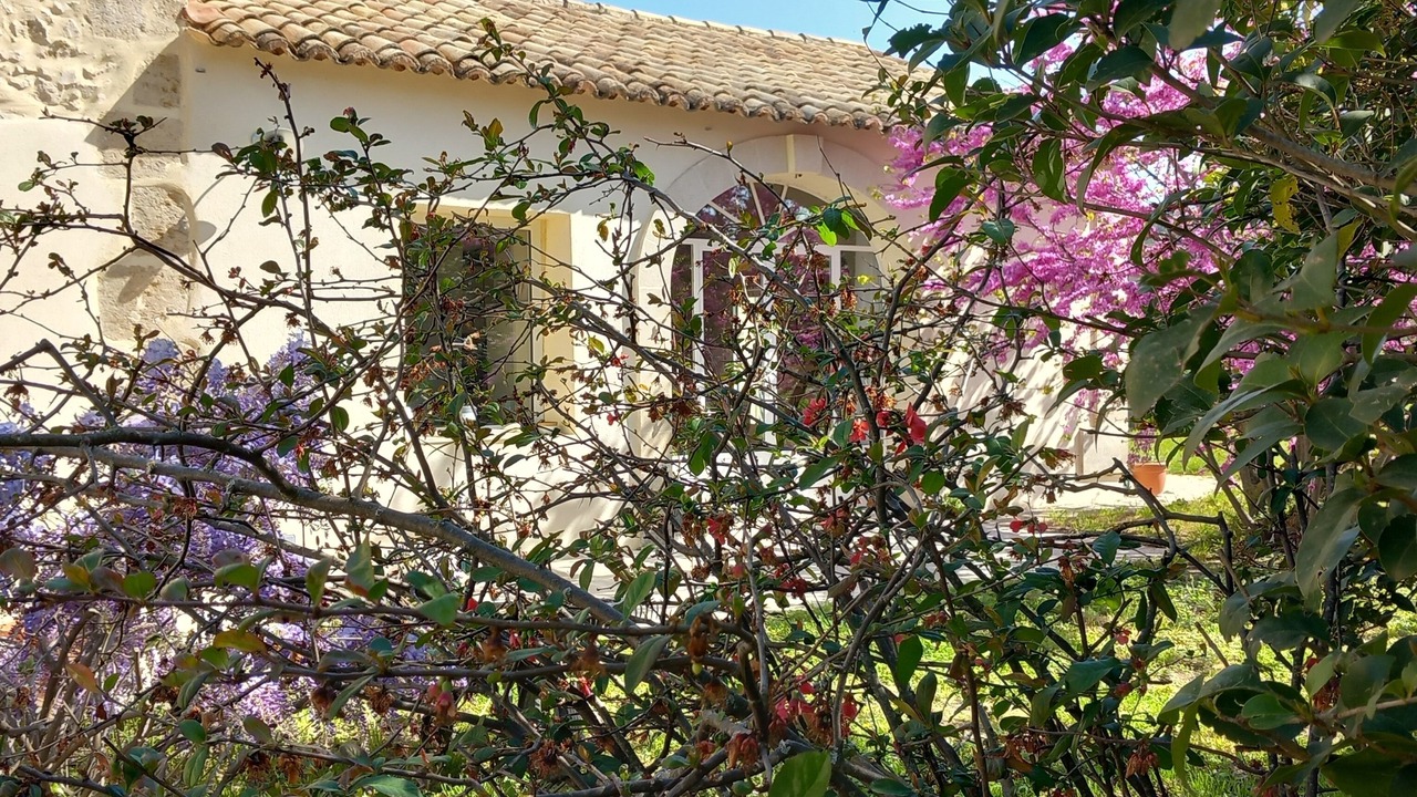 Photo of Outdoor in Taillades